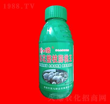 �޻���֦������-˹����-���R�ʘI(y��)