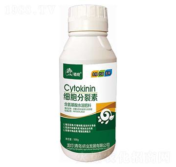 ����������-ֲ�^-�����r(n��ng)�I(y��)