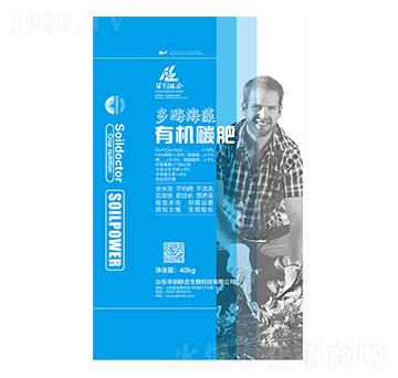 ��ø�����ЙC̼��-�A��(chu��ng)(li��n)��