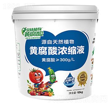 �S�����sҺ-Ȫ�ּ���