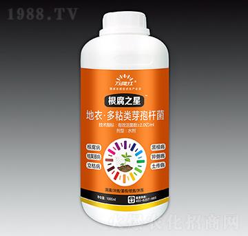 ���¡���ճ�ѿ�ߗU��-����֮��-�f(w��n)���t