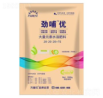 1000g����I�B(y��ng)�ʹ���Ԫ��ˮ�ܷ���20-20-20+TE-�Ų���(y��u)-�f���t