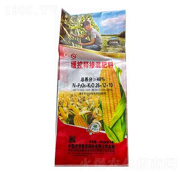 ����ጓ������26-12-10-���r