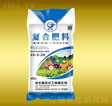 ��������͏�(f��)�Ϸ���20-5-20-����