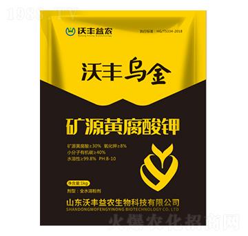 �VԴ�S�����-���S����-���S���r