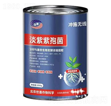 �������߾�-�_ʩ�o(w��)��-��ϲ