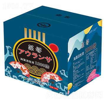 ���b�������Һ-�W��ɳ