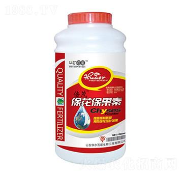 ����������-�A�����Z