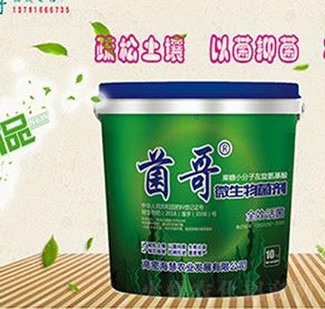 ����΢�������-����