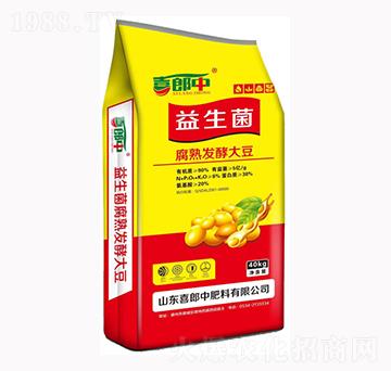 ����������l(f��)�ʹ�-ϲ����