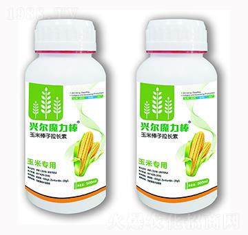 ���װ������L(zh��ng)��-�d��ħ����-�d���r(n��ng)�I(y��)