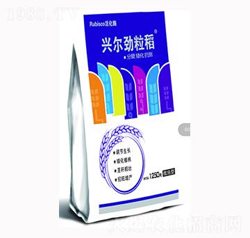 �d��������-�d���r(n��ng)�I(y��)