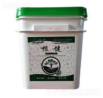 ����-�ֵ،�