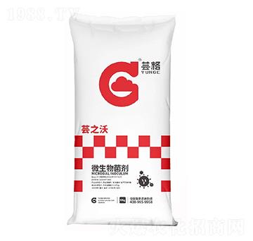 ΢�������-�|֮��-�|��