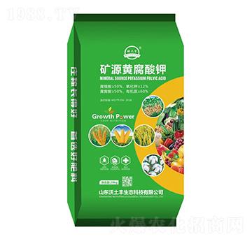 �VԴ�S�����-�����S���B(t��i)