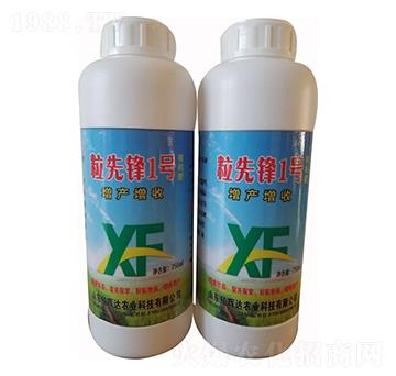 �����h1̖(h��o)-�|�x�_(d��)