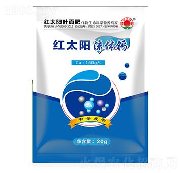 ���w�}-�t̫�-�ư����B(t��i)