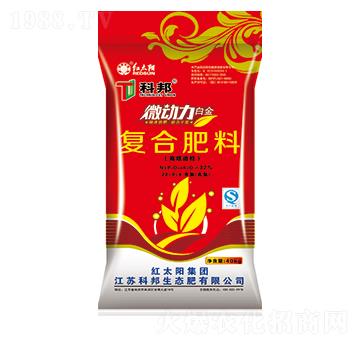 ΢��(d��ng)��������(f��)�Ϸ���28-0-4-�ư����B(t��i)