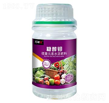 �Ǵ��f-�f��t-�Z�\��