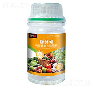 �Ǵ���-�f��t-�Z�\��