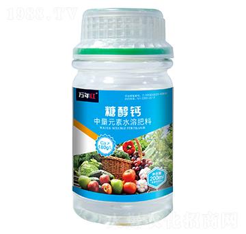 �Ǵ��}-�f��t-�Z�\��