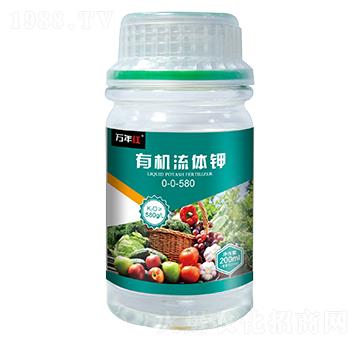 �ЙC(j��)���w�-�f��t-�Z�\��