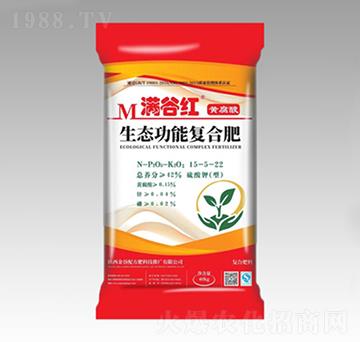 �S�������B(t��i)���܏ͺϷ���15-5-22-�M�ȼt-����䷽��