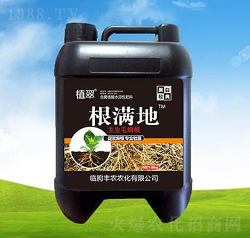 ���������I�B(y��ng)�B(y��ng)���ʡ�5