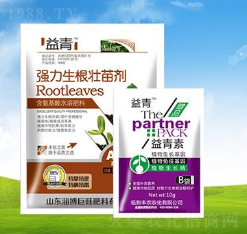 �����������焩+������