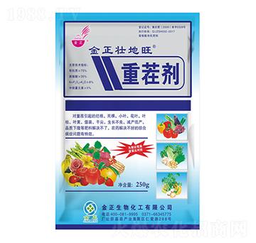 250g�ز焩-�ѵ���-��������