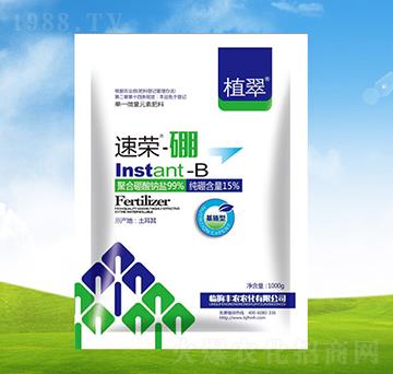 �������w����-ֲ��-