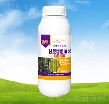 �����������L-ֲ��-�S