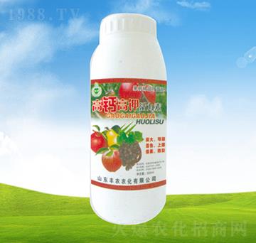 ���}��⛻�����-ֲ��-