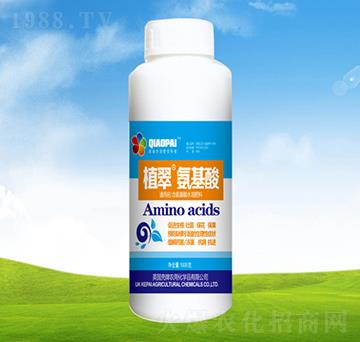 �����᡾ƿ��-ֲ��-�S