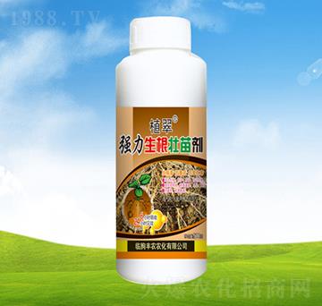 �����������焩��ƿ��-