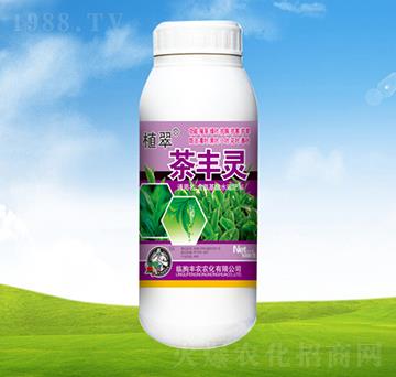 ���S�`��ƿ��-ֲ��-�S