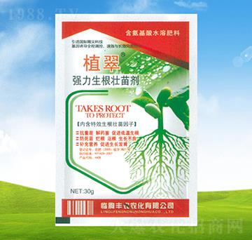 �����������焩������-