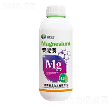 ̼���V-��Ȫ����