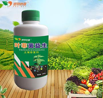 �����ޏ�(f��)��-�~��������-�°��~��