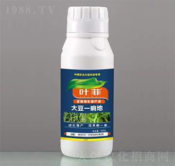 ���İ������aҺ-��һ�s��-�°��~��