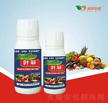 �V�V�Ͱ������ﵰ���LЧ���aҺ�ʣ�ƿ��-�°��~��