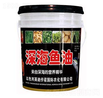 ��~��-�����ʘI(y��)