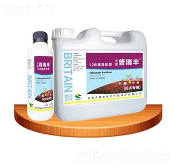 ���܌���12Ԫ�����w��-�����ʘI(y��)