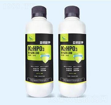 �������-�����ʘI(y��)