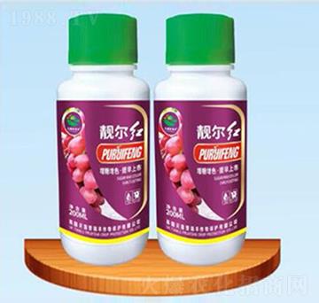 �n���t���ь�(zhu��n)���~���-�����ʘI(y��)