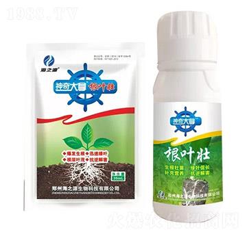 ���~��-�������-��֮Դ