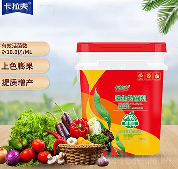 �����΢�������-������