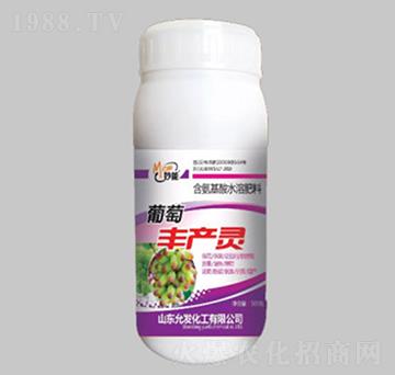 �����S�a(ch��n)�`-��������