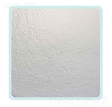 �Ȼ��@���r�I(y��)����-���P����