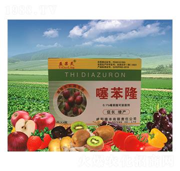 �󗗌����籽¡-���S